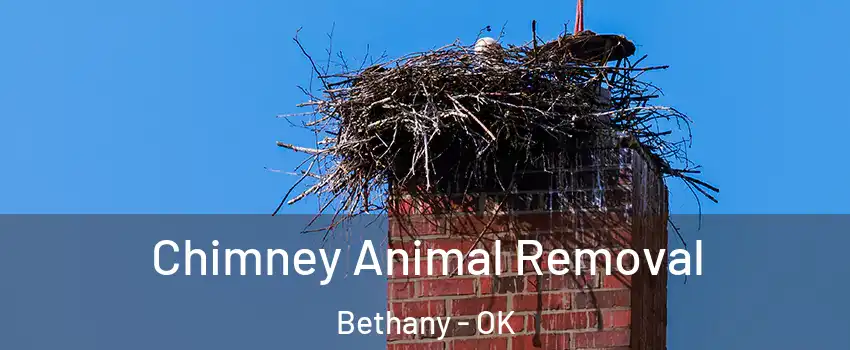  Chimney Animal Removal Bethany - OK