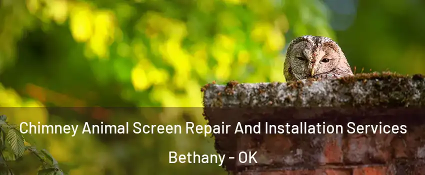 Chimney Animal Screen Repair And Installation Services Bethany - OK