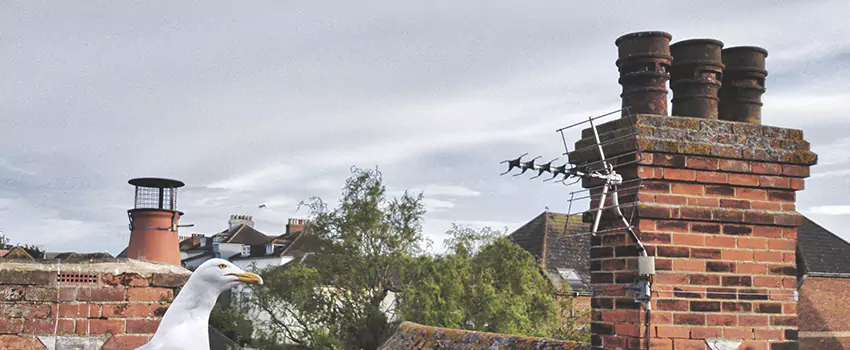 Chimney Cleaning And Restoration in Bethany, Oklahoma